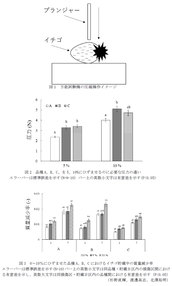 図1 万能試験機の圧縮操作イメージ,図1 万能試験機の圧縮操作イメージ(P<0.05),図3 0～10 %にひずませた品種A、B、Cにおけるイチゴ貯蔵中の質量減少率
エラーバーは標準誤差を示す(N=10)バー上の英数小文字は同品種・貯蔵日区内の損傷区間における有意差を示し、英数大文字は同損傷区・貯蔵日区内の品種間における有意差を示す(P<0.05)