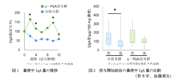 図1 糞便中IgA量の推移,図2 投与開始前後の糞便中IgA量の比較