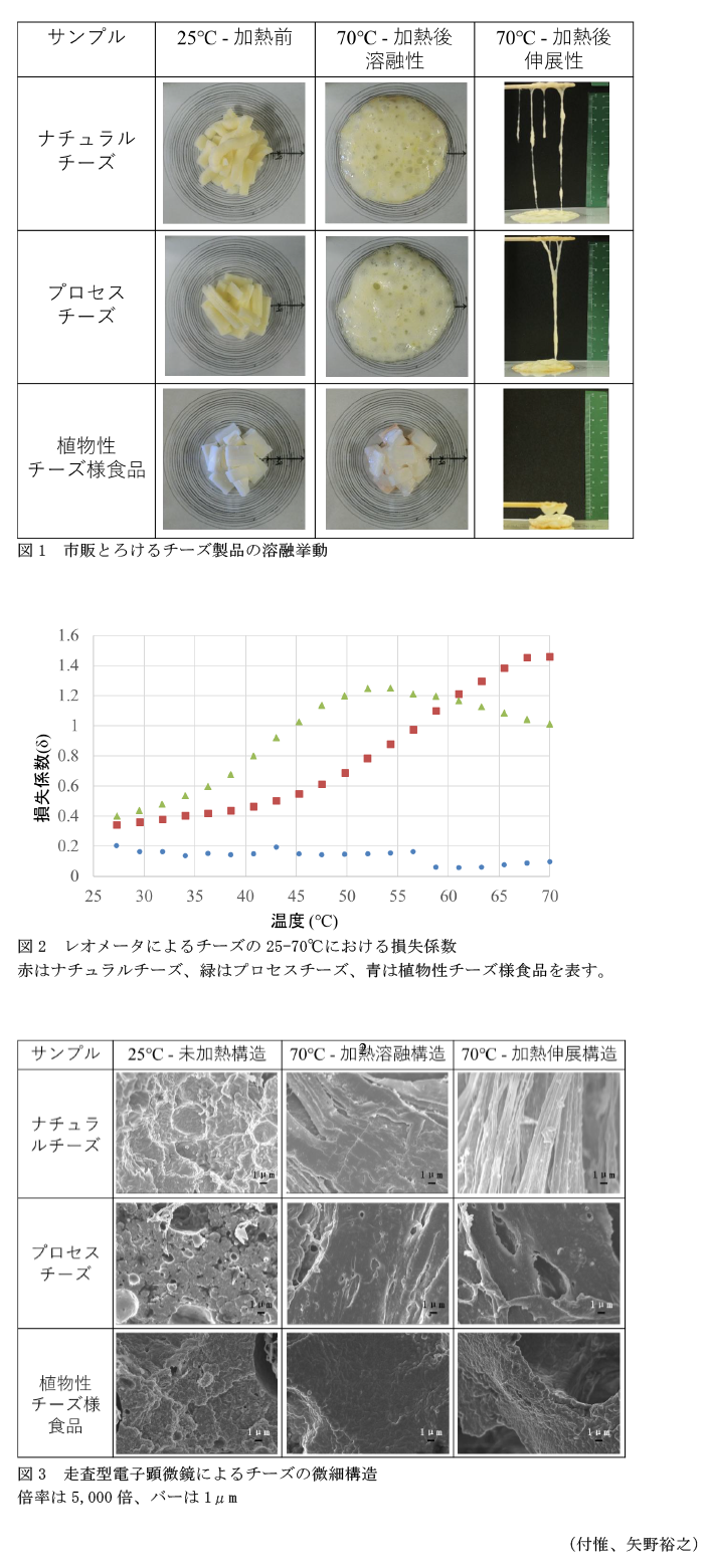 図1 市販とろけるチーズ製品の溶融挙動,図2 レオメータによるチーズの25-70°Cにおける損失係数,図3 走査型電子顕微鏡によるチーズの微細構造