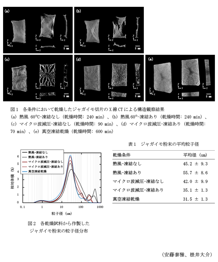 図1 各条件において乾燥したジャガイモ切片のX線CTによる構造観察結果,図2 各乾燥試料から作製したジャガイモ粉末の粒子径分布,表1 ジャガイモ粉末の平均粒子径