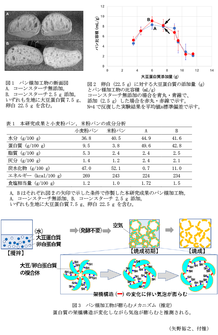 図1 パン様加工物の断面図,図2 卵白(22.5 g)に対する大豆蛋白質の添加量(g)とパン様加工物の比容積(mL/g),表1 本研究成果と小麦粉パン、米粉パンの成分分析,図3 パン様加工物が膨らむメカニズム(推定)