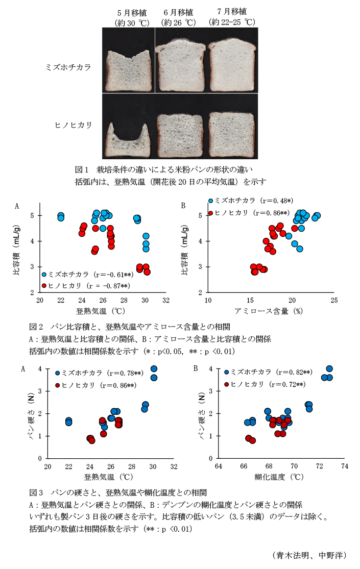 図1 栽培条件の違いによる米粉パンの形状の違い,図2 パン比容積と、登熟気温やアミロース含量との相関,図3 パンの硬さと、登熟気温や糊化温度との相関