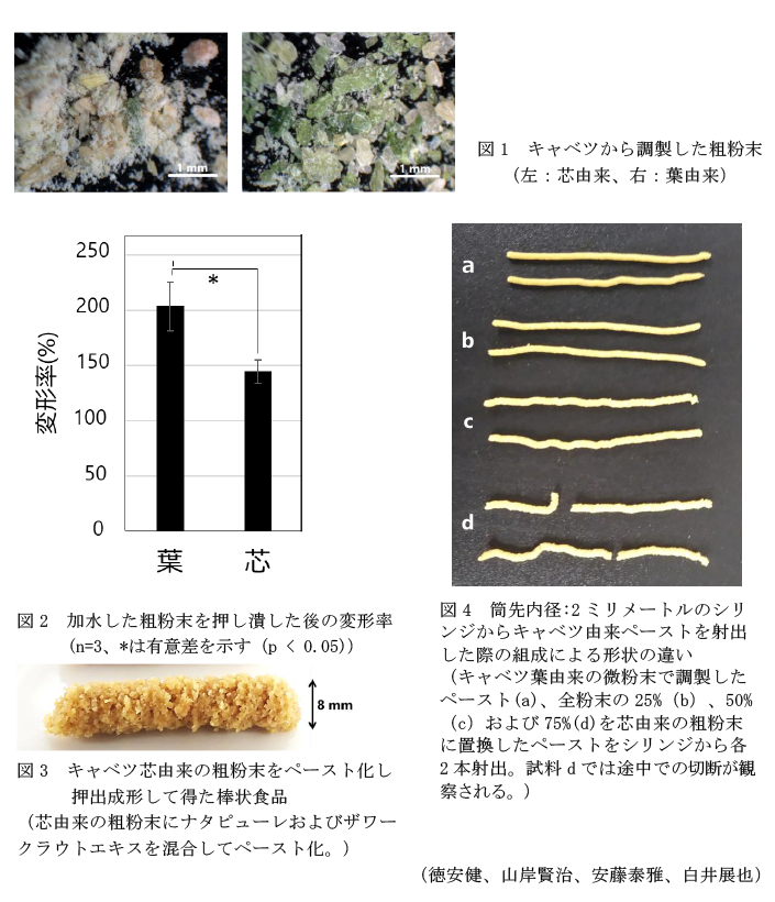 図1 キャベツから調製した粗粉末,図2 加水した粗粉末を押し潰した後の変形率,図3 キャベツ芯由来の粗粉末をペースト化し押出成形して得た棒状食品,図4 筒先内径:2ミリメートルのシリンジからキャベツ由来ペーストを射出した際の組成による形状の違い