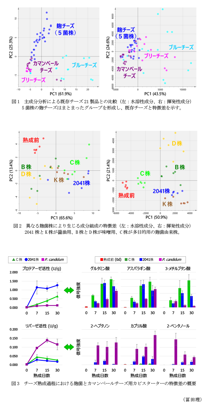 図1 主成分分析による既存チーズ21製品との比較,図2 異なる麹菌株により生じる成分組成の特徴差,図3 チーズ熟成過程における麹菌とカマンベールチーズ用カビスターターの特徴差の概要