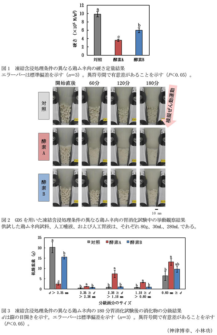 図1 凍結含浸処理条件の異なる鶏ムネ肉の硬さ定量結果,図2 GDSを用いた凍結含浸処理条件の異なる鶏ムネ肉の胃消化試験中の挙動観察結果,図3 凍結含浸処理条件の異なる鶏ムネ肉の180分胃消化試験後の消化物の分級結果