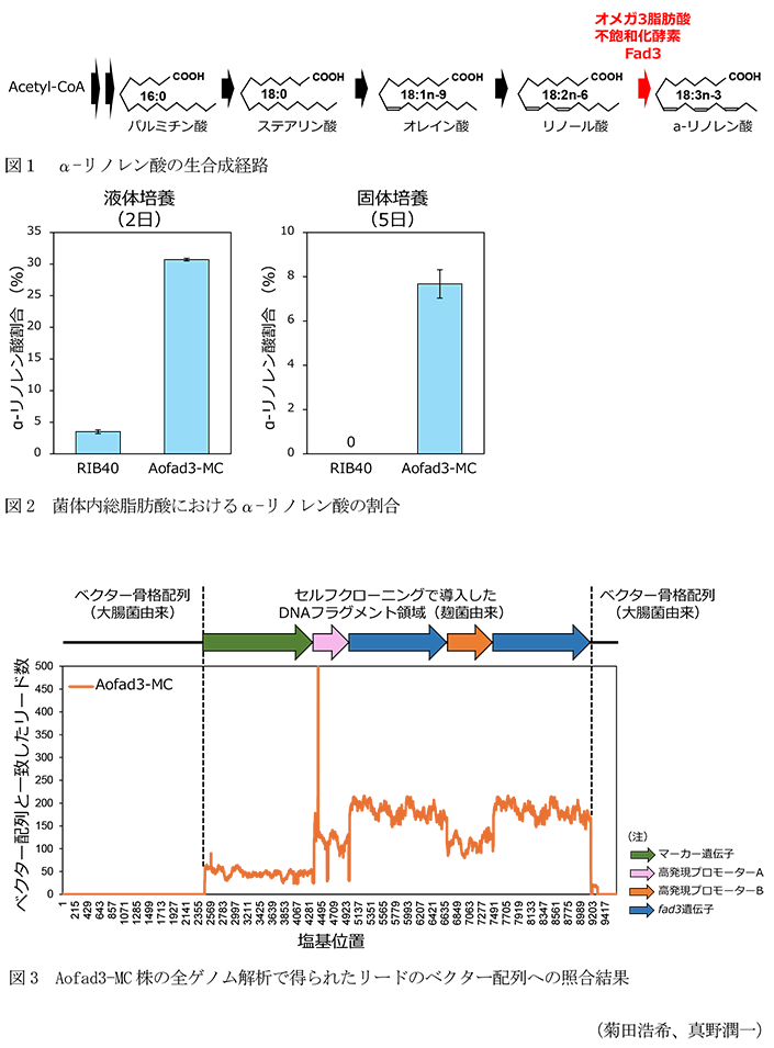 図1 α-リノレン酸の生合成経路,図2 菌体内総脂肪酸におけるα-リノレン酸の割合,図3 Aofad3-MC株の全ゲノム解析で得られたリードのベクター配列への照合結果