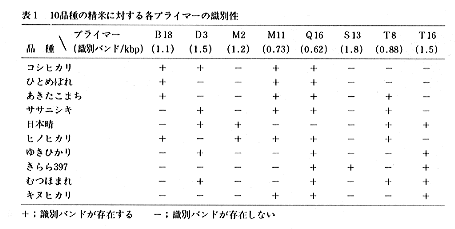 表1 10品種の精米に対する各プライマーの識別法