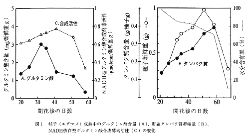 図1