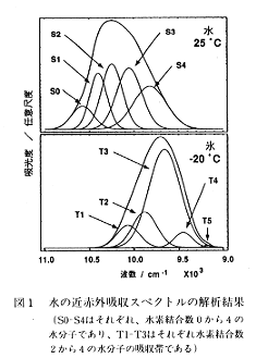 近赤外吸収スペクトルによる水の分子動態解析 農研機構