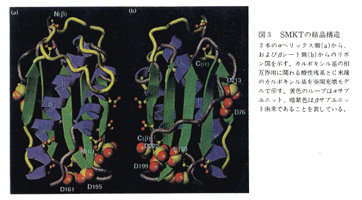 図3