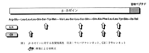 図1