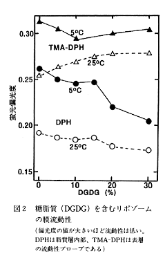 図2