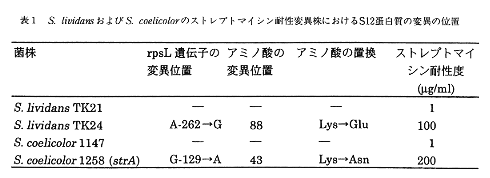 表1