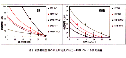 図1 主要貯穀害虫の卵及び幼虫の圧力-時間に対する致死曲線