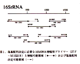 図1