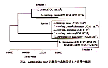 図2