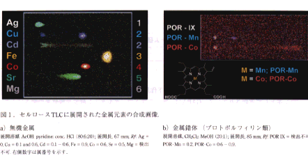 図1 セルロースTLCに展開された金属元素の合成画像