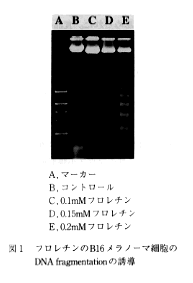 図1