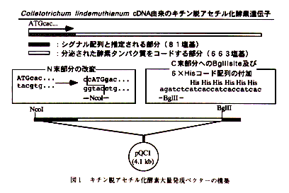 図1