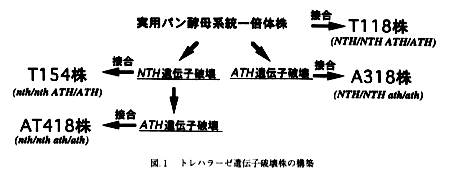 図1