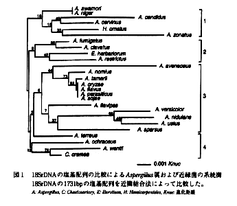 図1