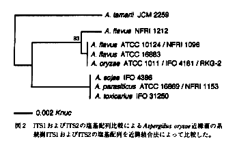 図2