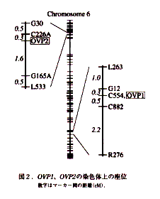 図2