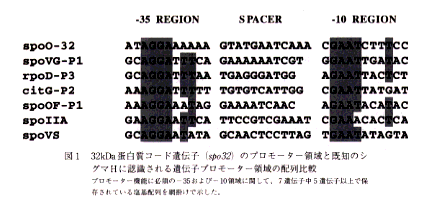 図1