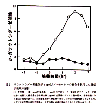 図2