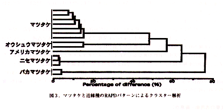 図3