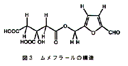 図3 ムメフラールの構造