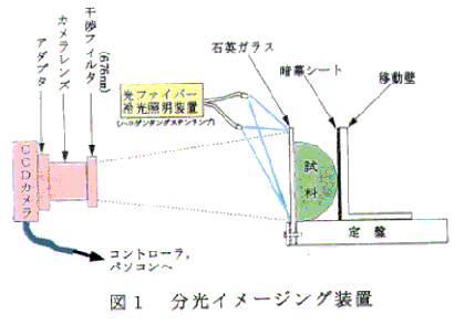 図1 分光イメージング装置