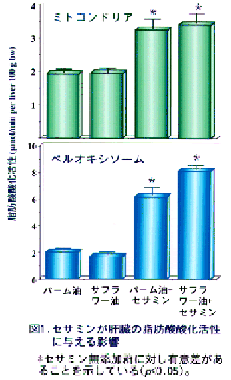 図1