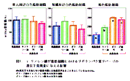 図1