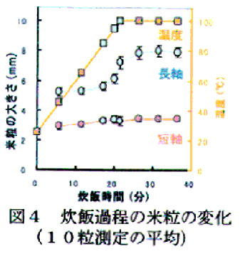 図4 炊飯過程の米粒の変化