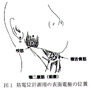 図1 筋電位計測用の表面電極の位置