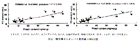 図1