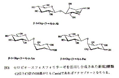 図1