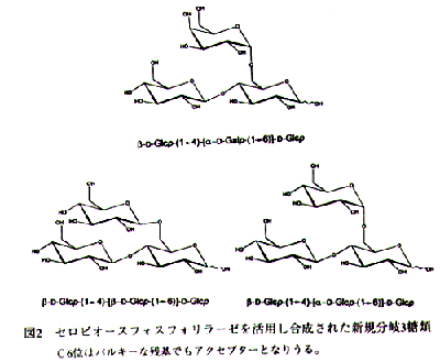 図2