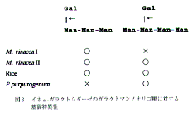 図3