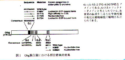 図1