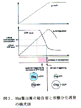 図3