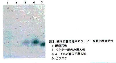 図3