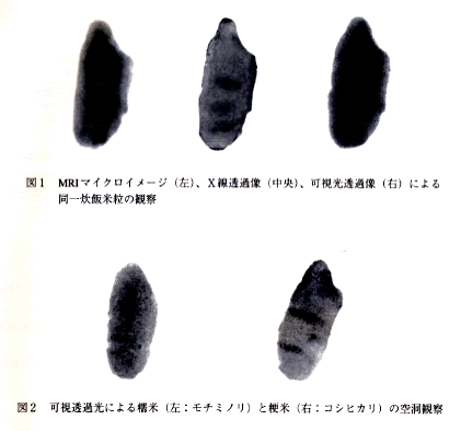 図1 MRIマイクロイメージ(左)、X線透過像(中央)、可視光透過率(右)による同一炊飯米粒の観察