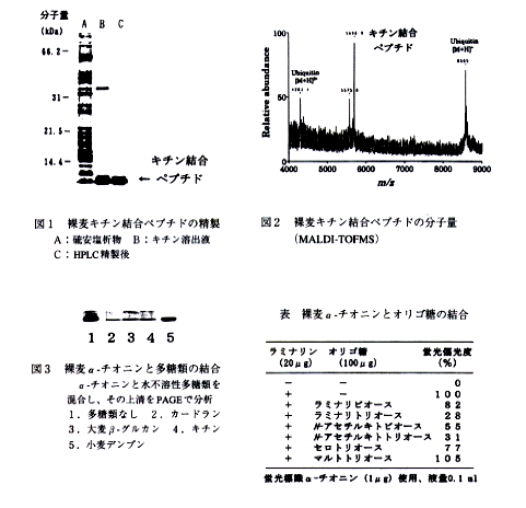 図1 裸麦キチン結合ペプチドの精製