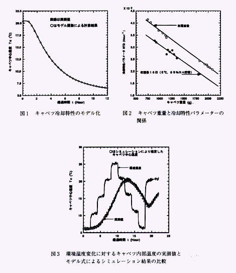 図1 キャベツ冷却特性のモデル化