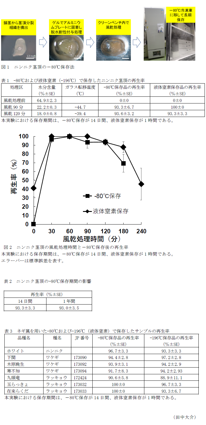 図1 ニンニク茎頂の-80°C保存法,表1 -80°Cおよび液体窒素(-196°C)で保存したニンニク茎頂の再生率,図2 ニンニク茎頂の風乾処理時間と-80°C保存後の再生率,表2 ニンニク茎頂の-80°C保存期間の影響,表3 ネギ属を用いた-80°Cおよび-196°C(液体窒素)で保存したサンプルの再生率