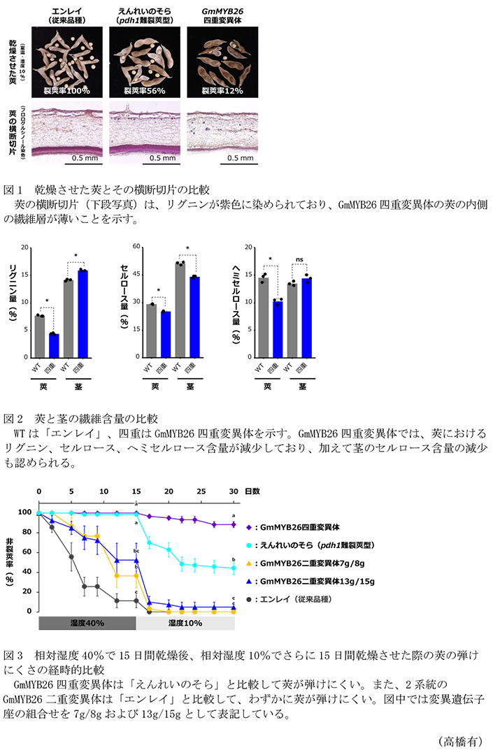 図1 乾燥させた莢とその横断切片の比較,図2 莢と茎の繊維含量の比較,図3 相対湿度40%で15日間乾燥後、相対湿度10%でさらに15日間乾燥させた際の莢の弾けにくさの経時的比較