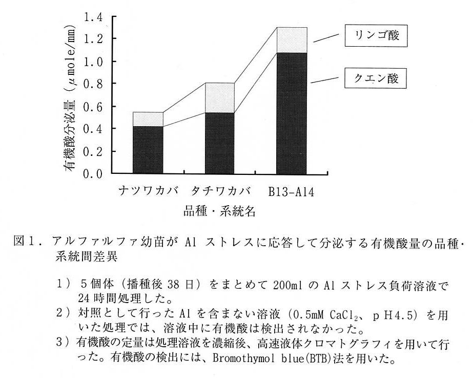 図1 アルファルファ幼根がAlストレスに応答して分泌する有機酸量の品種・系統間差異