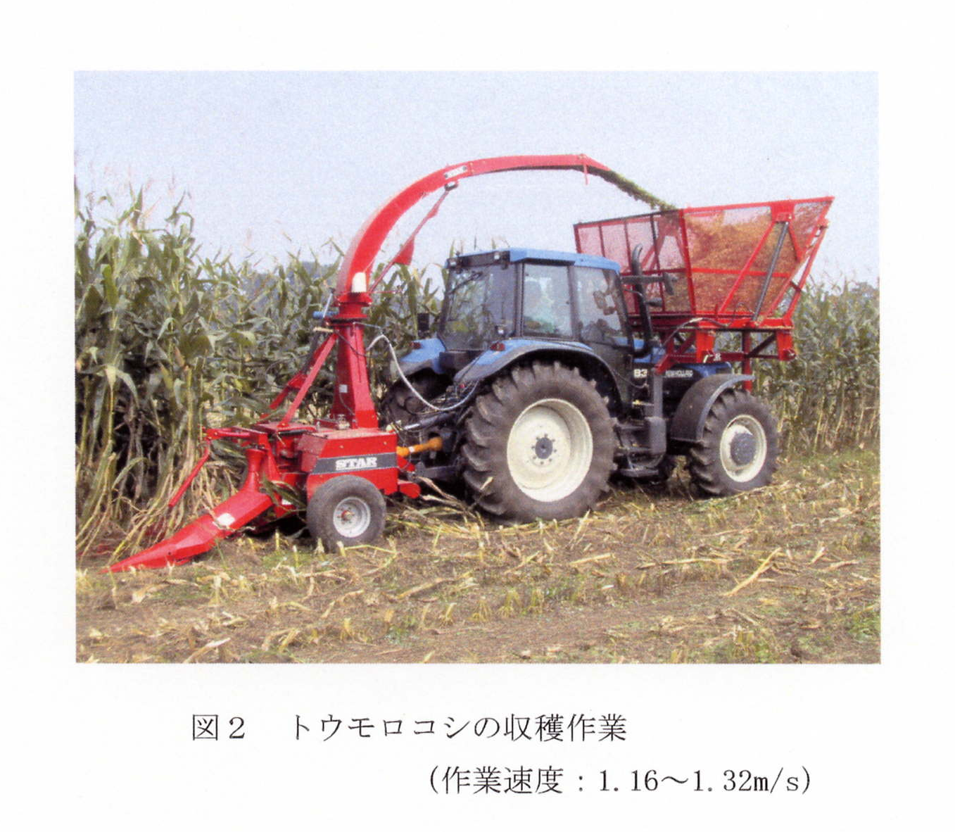 図2 トウモロコシの収穫作業
